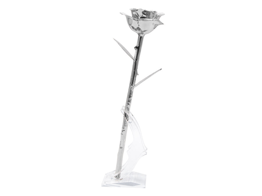 Platin Rose Aphroditeproduct image #4