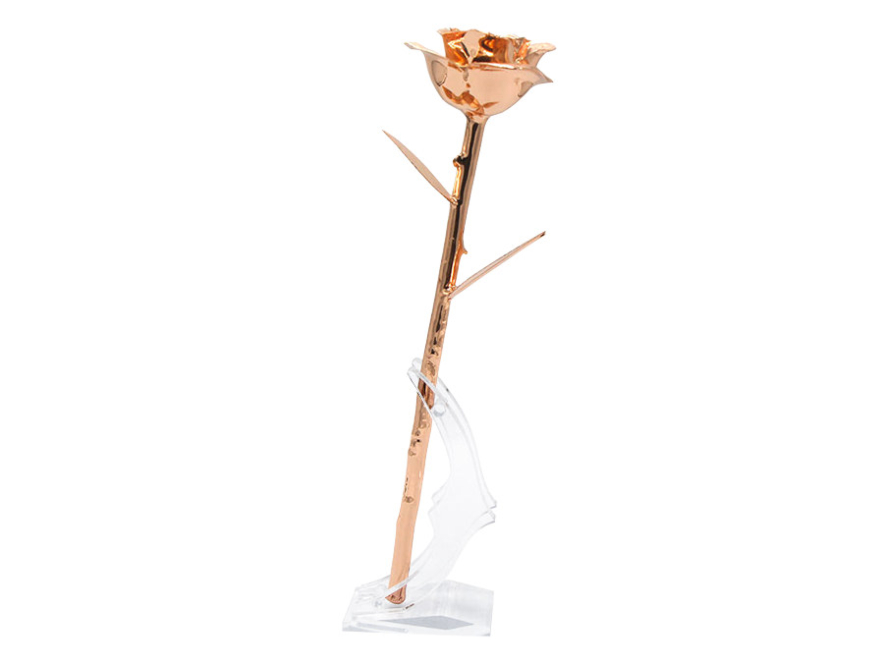 Rosa Gold Rose Aphroditeproduct image #5