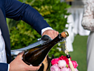 Champagnesabel Fox Sciabola del Sommelierproduct thumbnail #2