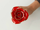 24K Forgyldt Rose Frejaproduct thumbnail #3