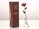 24K Forgyldt Rose Frejaproduct thumbnail #5