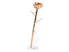 Rosa Gold Rose Aphroditeproduct thumbnail #5