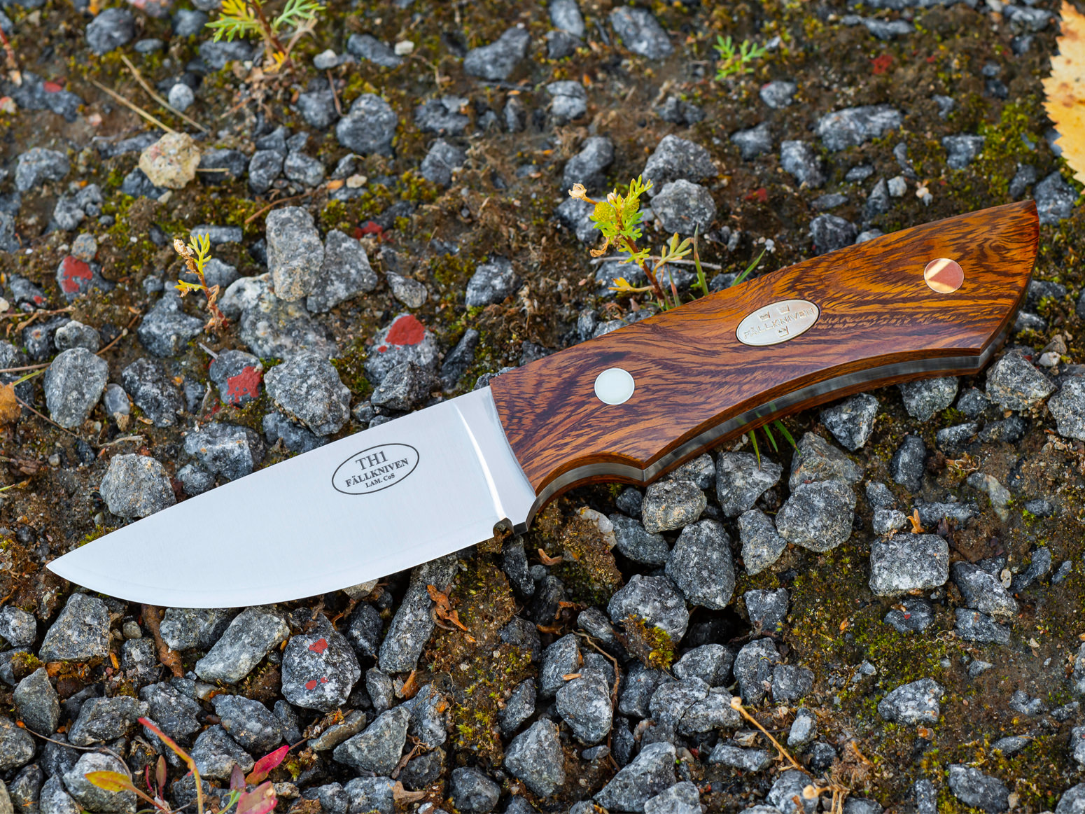 Jagtkniv Fällkniven TH1 Taiga Hunter Desert Ironwoodproduct zoom image #5