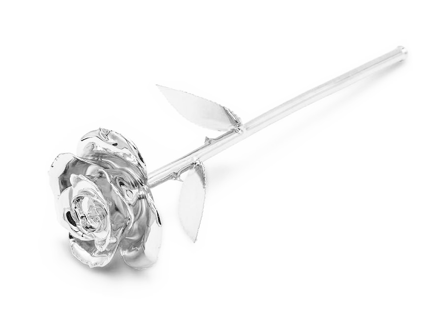 Sølv Rose Aphroditeproduct zoom image #1